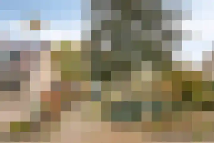 't Beusje 15 Vledder thumbnail 37