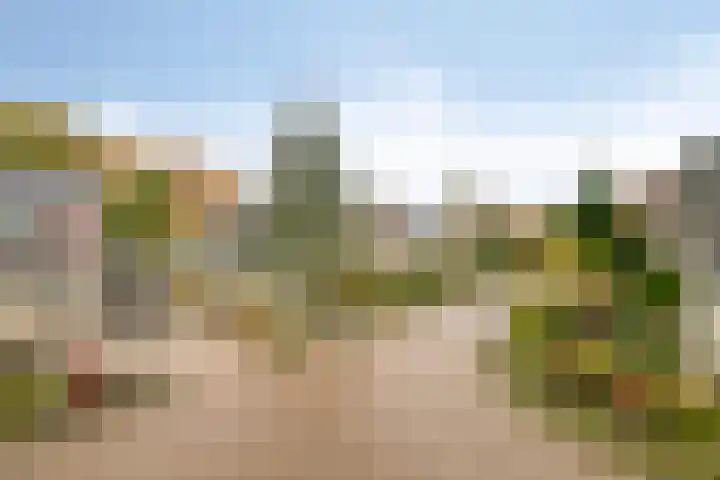 't Beusje 15 Vledder thumbnail 39