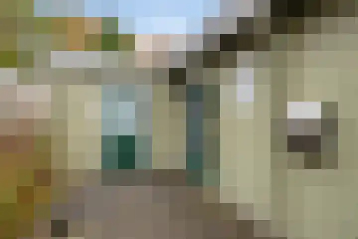 't Beusje 15 Vledder thumbnail 4