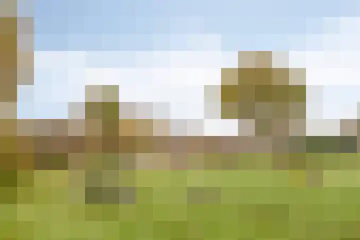 't Beusje 15 Vledder thumbnail 41