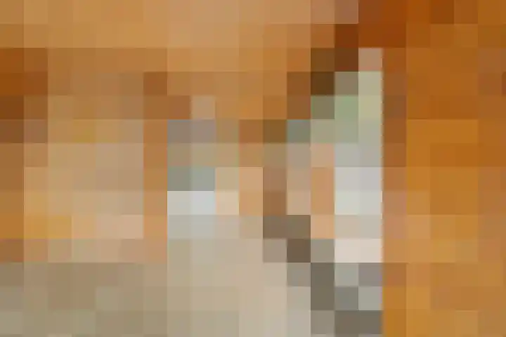 't Beusje 15 Vledder thumbnail 9