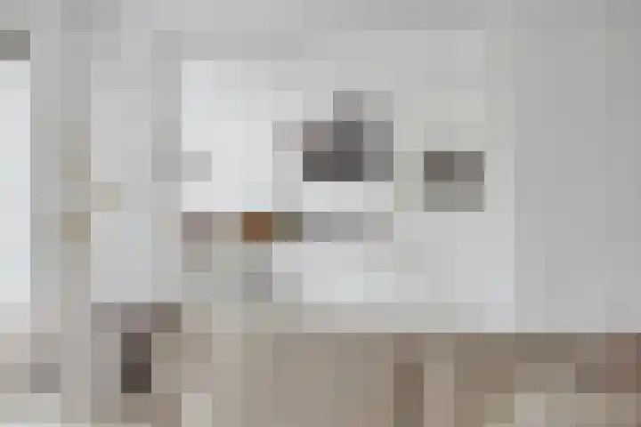 't Blok 55 Breda thumbnail 26