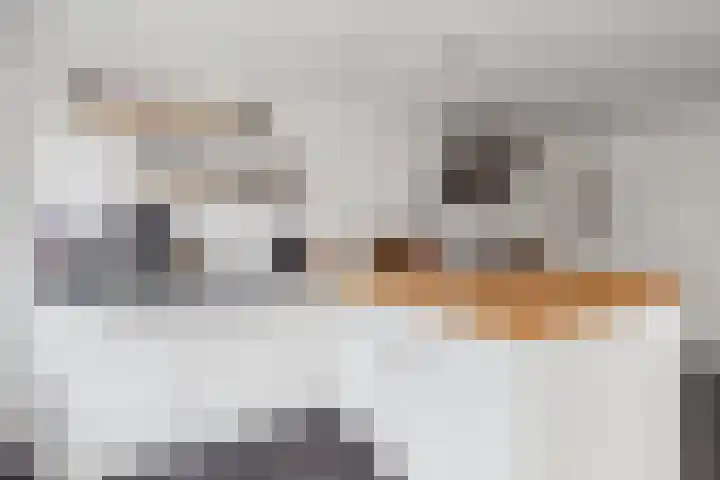't Blok 55 Breda thumbnail 30