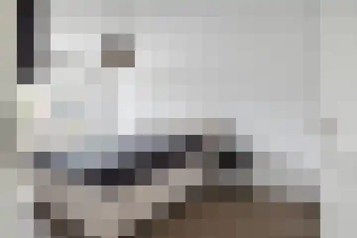 't Blok 55 Breda thumbnail 35