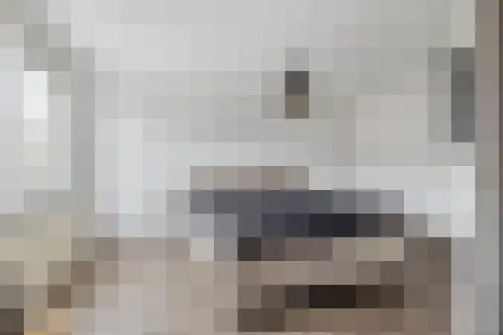't Blok 55 Breda thumbnail 39