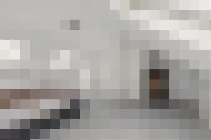 't Blok 55 Breda thumbnail 47