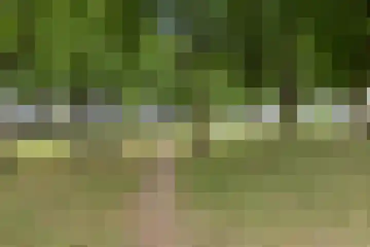 't Blok 55 Breda thumbnail 58