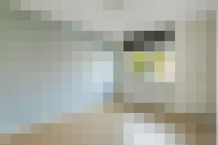 't Blok 65 Breda thumbnail 10