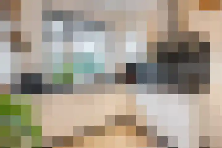 't Boveneindje 37 Made thumbnail 15