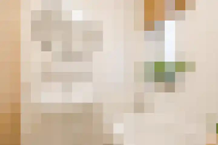 't Boveneindje 37 Made thumbnail 25