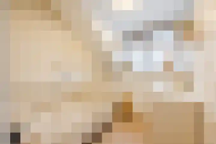 't Boveneindje 37 Made thumbnail 34