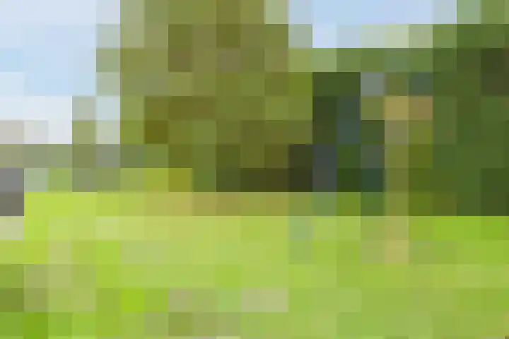 't Boveneindje 37 Made thumbnail 40