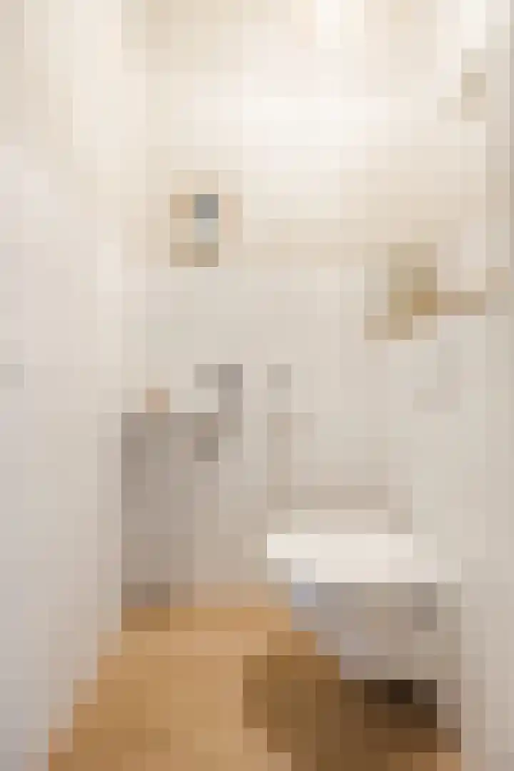 't Boveneindje 37 Made thumbnail 8