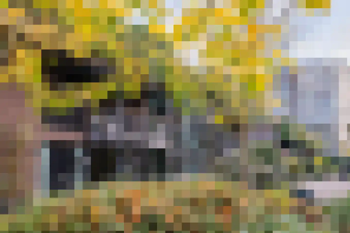 't College 7 Eindhoven thumbnail 37