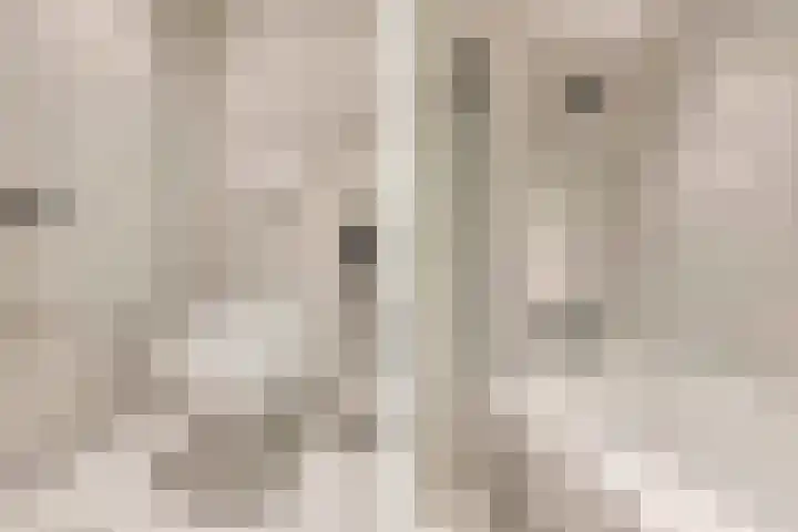 't Cour 2 Helmond thumbnail 24