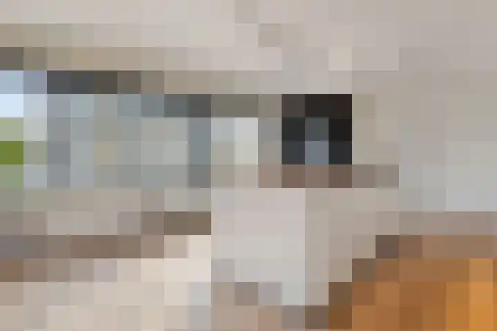 't Cour 2 Helmond thumbnail 7