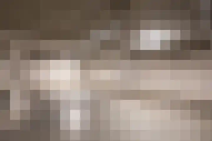 't Dorp 116 m Heesch thumbnail 18