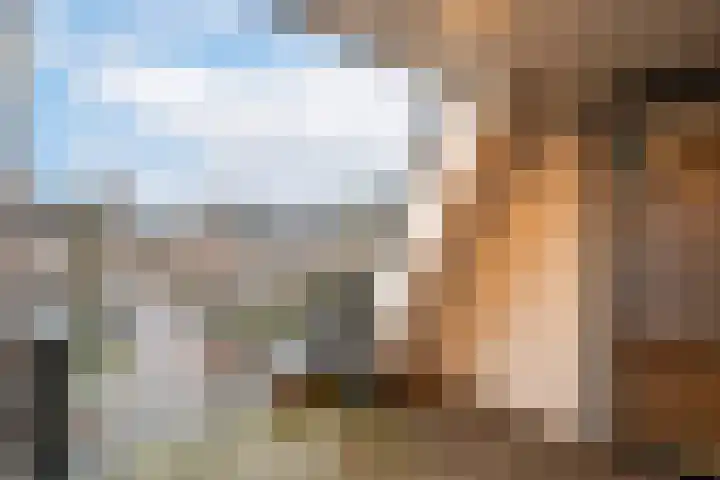 't Dorp 116 m Heesch thumbnail 4