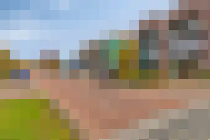 't Dorp 13 c Heesch thumbnail 33
