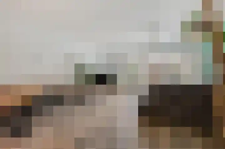 't Eeland 2 Westervoort thumbnail 12