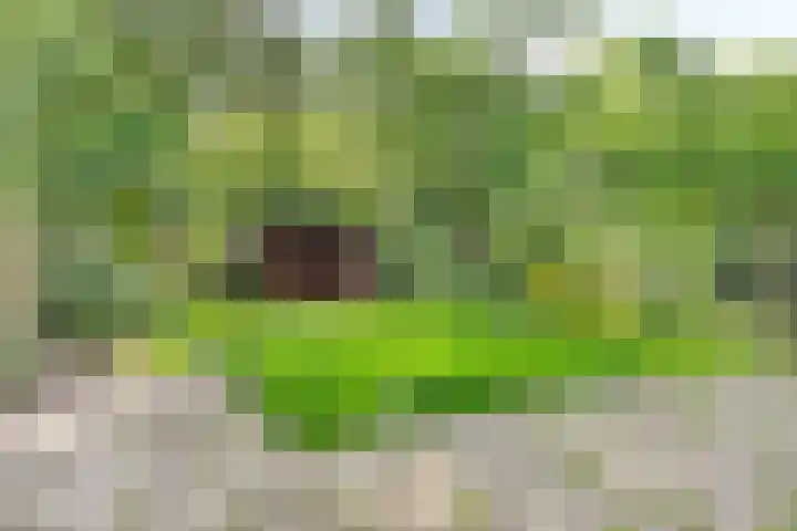 't Emmerrik 16 Tolbert thumbnail 24