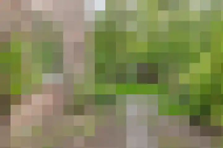 't Emmerrik 16 Tolbert thumbnail 27