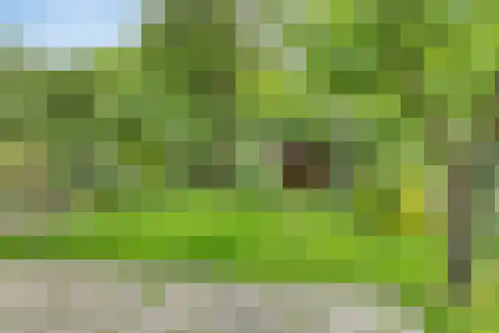 't Emmerrik 16 Tolbert thumbnail 28