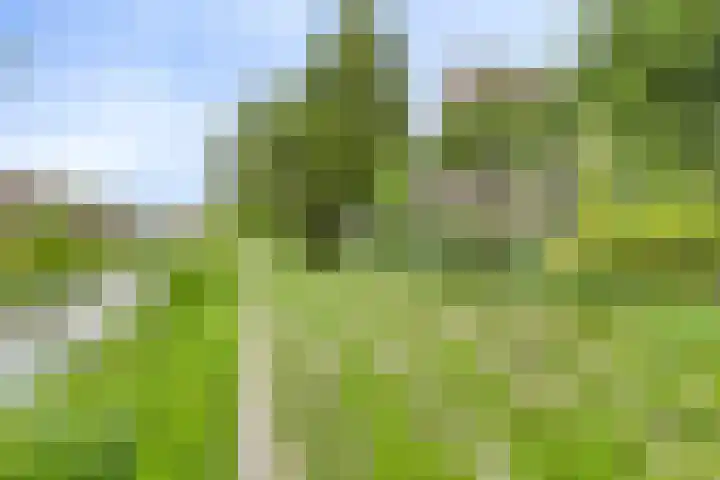 't Emmerrik 16 Tolbert thumbnail 31