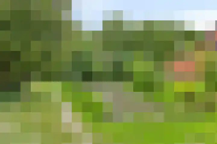't Emmerrik 16 Tolbert thumbnail 32