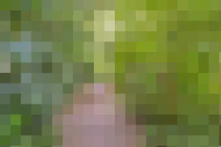 't Emmerrik 16 Tolbert thumbnail 33