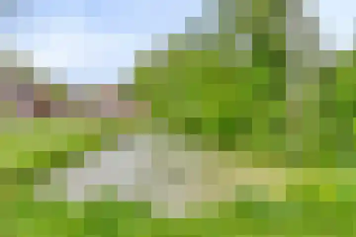 't Emmerrik 16 Tolbert thumbnail 34