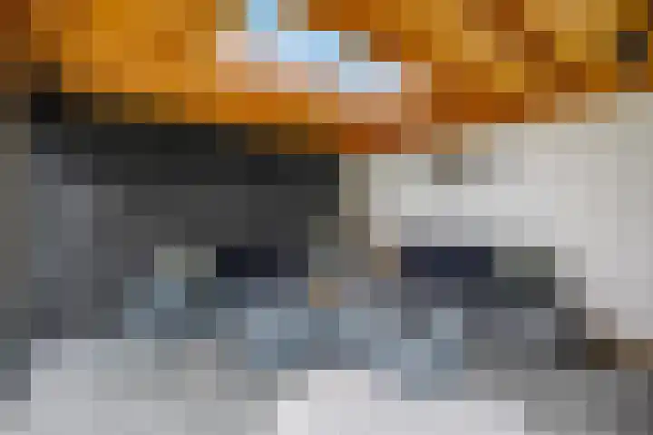 't Erf 13 Bemmel thumbnail 36