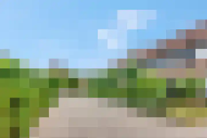 't Erf 13 Bemmel thumbnail 38