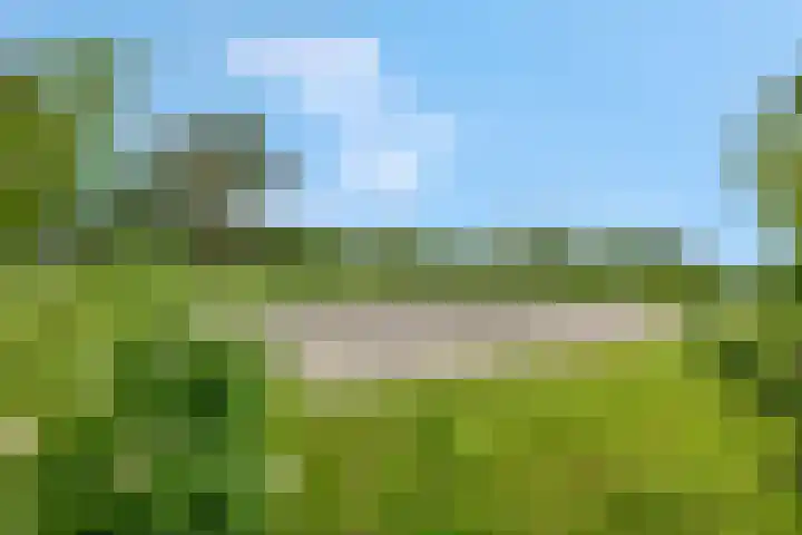 't Erf 13 Bemmel thumbnail 41