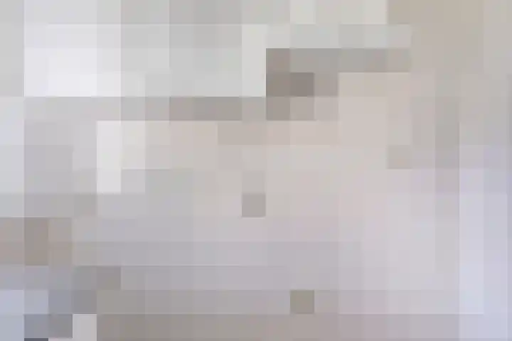 't Erf 51 Bemmel thumbnail 13