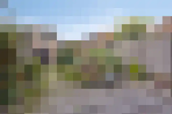 't Erf 51 Bemmel thumbnail 26