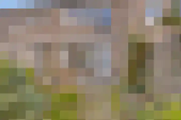 't Erf 51 Bemmel thumbnail 27