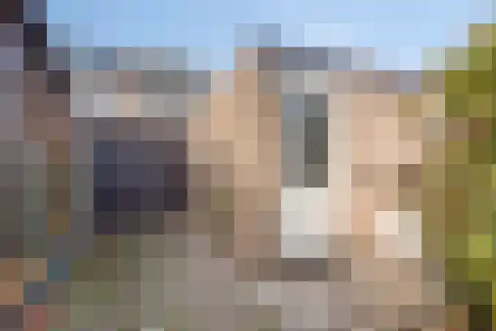 't Erf 51 Bemmel thumbnail 28