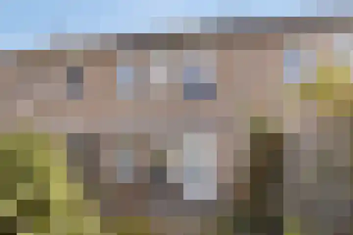't Erf 51 Bemmel thumbnail 30