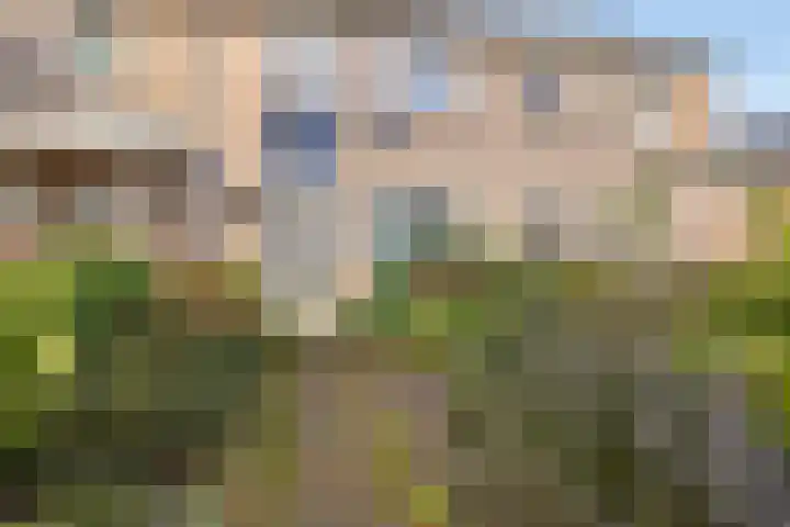 't Erf 51 Bemmel thumbnail 4