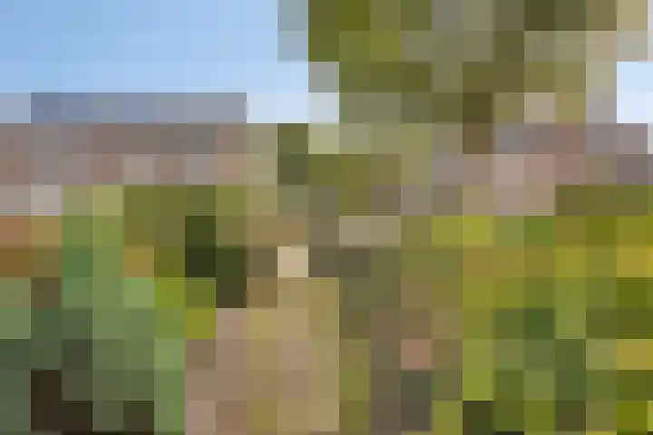't Erf 51 Bemmel thumbnail 5