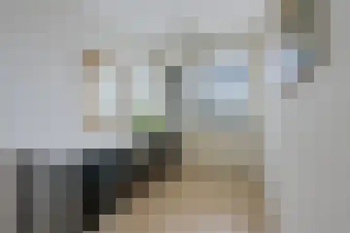 't Erf 83 Leusden thumbnail 19