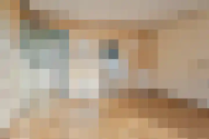't Fort 25 Elst thumbnail 25