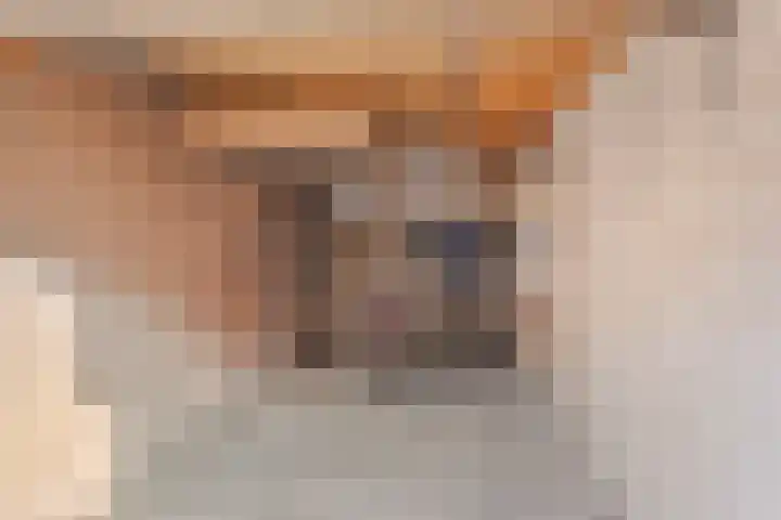 't Fort 25 Elst thumbnail 67