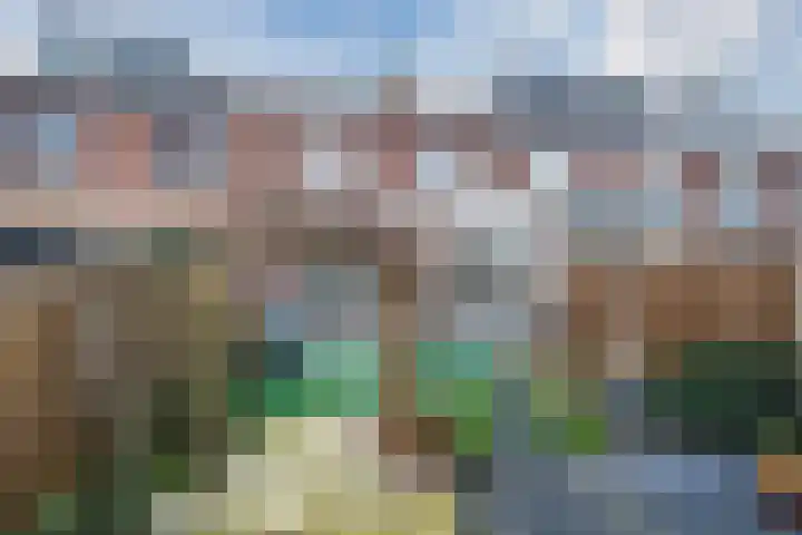 't Fruit 7 Barendrecht thumbnail 4