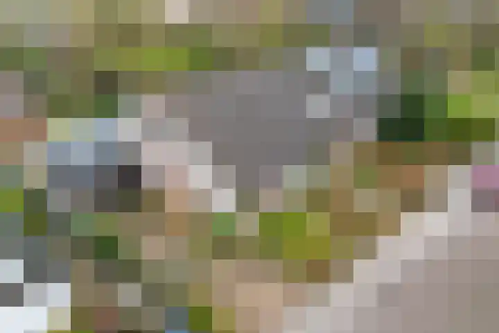 't Herberchsfintsje 1 in Tytsjerk