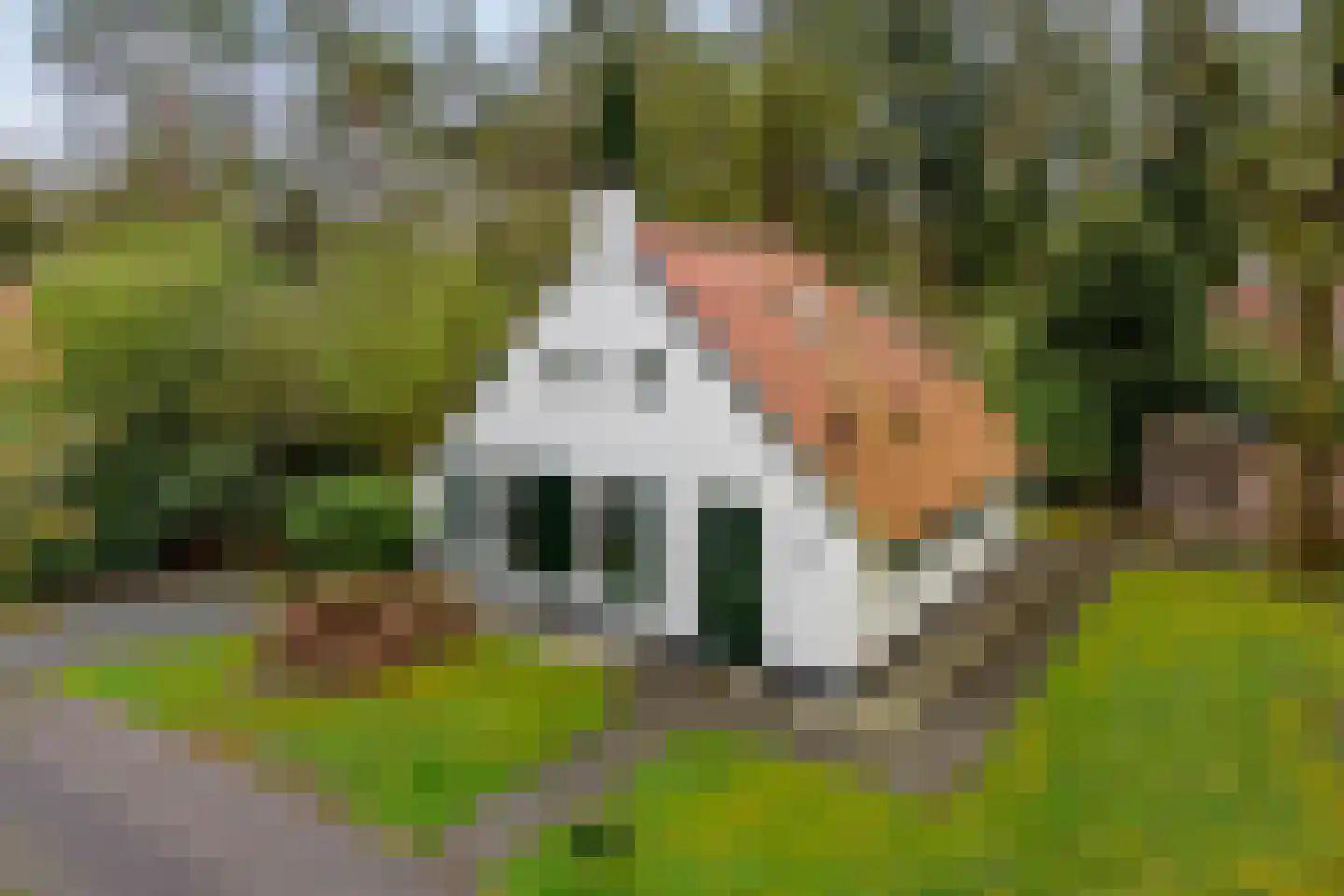 't Hertenspoor 146 dans Diever
