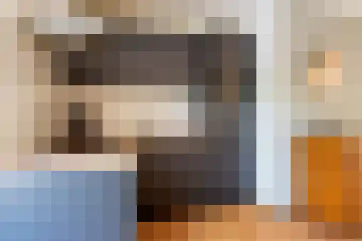 't Hertenspoor 33 Diever thumbnail 14