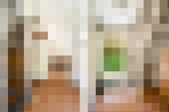 't Hertenspoor 33 Diever thumbnail 16