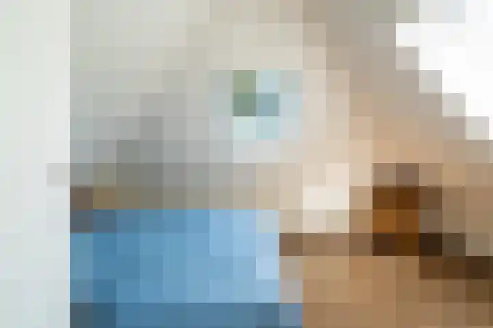 't Hertenspoor 33 Diever thumbnail 22